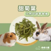 啃啃小鋪🥕花草系列乾燥甜菊葉｜兔子零食/天竺鼠零食/龍貓零食/纖維補充/挑嘴推薦/兔子點心/寵保健草/倉鼠天然草本補充