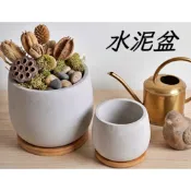 小胖肚水泥盆｜盆栽 花盆 觀葉 多肉 水泥盆栽 辦公室盆栽 室內植物 園藝 石頭玉 屁屁花 花盆 盆栽 清水模 多肉 觀