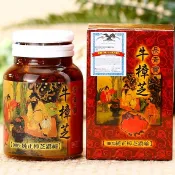 【長青寶】牛樟芝膠囊(100粒/瓶)  | 榮獲SNQ國家品質標章認證