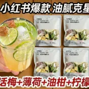 🔥夏季熱賣🔥紅書同款 話梅油柑檸檬薄荷茶 養生茶 凍幹油柑果茶 夏季茶 可冷泡茶