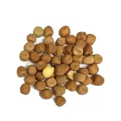 (店+)【蔬菜之家】大包裝J05.豌豆嬰種子1公斤(約4300顆) (豌豆芽菜種子)