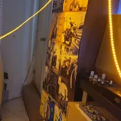 LED驅蚊燈條 露營燈