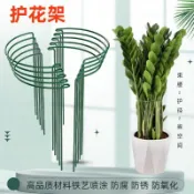 🔥🔥店長推薦/免運🔥🔥 植物支撐架 龜背竹 金錢樹 天堂鳥 防倒伏 定型護花架 固定支柱