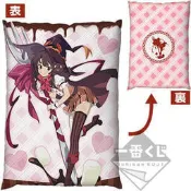 【木乃伊貓】代理版 一番賞美好世界 最後賞 惠惠抱枕 免運