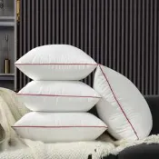抱枕內膽沙發枕墊45x45 40 60抱枕心50x50背內枕    市集
