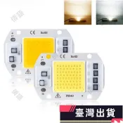 🌸臺灣熱銷🌸110 / 220V 20 / 30 / 50W LED COB 光源集成燈珠智能驅動器 DIY 泛光燈