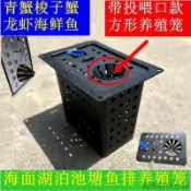【台灣出貨】新款帶倒須口的方形黃鱔籠PP熟料塑料漁具海鰻魚籠螃蟹龍蝦章魚籠