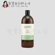 髮質設計師立坽的小窩 ABBA 舒暢凝露1000ml scalp IS04｜立坽『頭皮調理洗髮精』凱蔚公司貨｜領券再折｜換季保養 ⚡頭皮保養 水潤保濕 蓬鬆秀髮 沙龍髮品