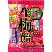 【 限 時 優 惠 】生梅飴 (90g)