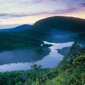 太平山國家森林遊樂區｜宜蘭 旅游景點 門票｜3T Ticket｜電子票券