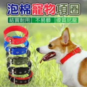 毛孩補給站 寵物項圈 狗狗項圈 脖套 狗狗頸圈 寵物頸圈 寵物胸背帶 胸背帶 牽引繩 泡棉項圈 中大型犬項圈【231111】