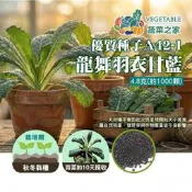 【蔬菜之家】A42-1.龍舞羽衣甘藍種子 4.8g 義大利進口 葉片深綠狹長 生長快速 10天採苗菜 21天食嫩葉 超級