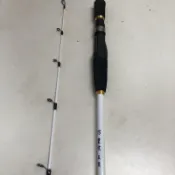 #競標物 全新品 買太多 便宜賣 出清 豐收漁具 FS 軽量小船竿 5.2尺 一本半 鱸鰻竿 龍蝦竿  實心竿尾 小搞搞