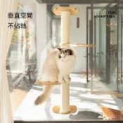 吸盤式貓咪窗邊跳台貓爬架抓柱實木貓玩具小戶型不佔地室內貓吊床貓窗台貓窗邊耐磨穩固