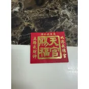 北港武德宮 丙午年發財錢母