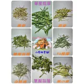 🌿小寵牧草鋪🌱兔子，鼠寶，陸龜，小羊的牧草