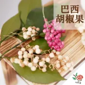 (店+)巴西產 巴西胡椒果 胡椒果 極度花燥 花材 果實 永生花 乾燥花 不凋花 尤加利果 乾燥果實 畢業季 畢業 七夕 情人節