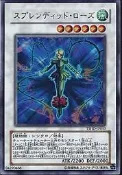 APP STORE ~ TSHD-JP043 華麗薔薇  UR