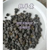 《發酵羊糞》乾羊糞 🔸 混田土使用  / 羊糞栽培介質  / 土堆肥 / 花卉、種菜、果樹
