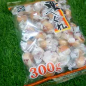 [效期2027.2]《佐藤製菓栗太郎果子(300g)栗しぐれ》｜愛子森林 e2
