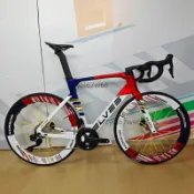 精靈法拉斯evo碳纖維碟剎公路車R8170 R7170電子變速（廠商直發咨詢運）