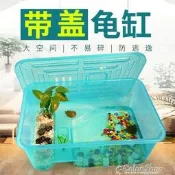烏龜缸帶曬臺水陸缸塑膠中大型巴西龜缸養龜缸烏龜活體專用缸魚缸-【可開發票 玫瑰女孩】