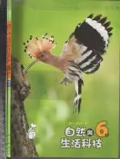 佰俐O 110-108年三版《國小 自然與生活科技 6下 課本+習作 共2本》南一 9.7