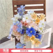 【新店免運】🌼出貨🌼仿真波斯菊 小雛菊 波斯菊 荷蘭菊 情人節 節慶拍照道具 居家裝飾 乾燥花 人造花 永生花洋甘菊