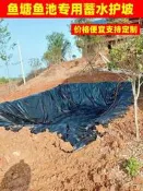 魚塘防滲膜魚池防水布養魚專用加厚護坡塑嘐布塑嘐膜土工膜防水膜