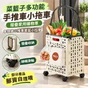 菜籃子多功能手推車小拖車摺疊家用購物車拿快遞小推車買菜小拉車--部分產品郵資自理哦