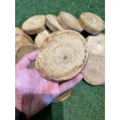 超級香~限量 稀有超重油 台灣黃檜杯墊 檸檬香茅味 台灣檜木Hinok 聞香塊 原木飾品 檯座A5972【晶選傢俱】
