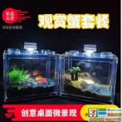 悠樂館 迷你辣椒蟹觀賞蟹小螃蟹飼養套餐生日禮物創意微景觀透明缸魚缸