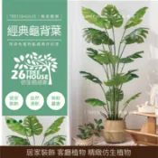 宅配免運費▲經典龜背葉▲仿生植物 仿真植物 擬真假植物 龜背葉 旅人蕉 琴葉榕 千年木 假樹 假植物 仿真樹 大型植物