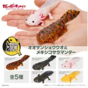全新現貨萬代BANDAI 生物大圖鑑日本國寶級大鯢-大山椒魚與墨西哥鈍口螈-六角恐龍  全5款扭蛋