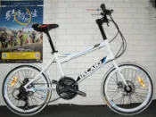 (台南經銷)愛爾蘭 IRLAND shimano 24速 451輪組 鋁合金車架 前後雙碟煞   小徑車.白