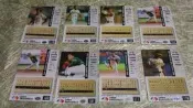 【歡迎 賣場多項合併寄件】【1994 職棒五年】中華職棒5年 球員卡 俊國熊隊 148~176