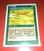 Hunting Cheetah 巡行獵豹 P3K#138 繁中 MTG Magic P3K PORTAL