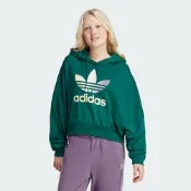 【adidas 愛迪達】 CNY 連帽上衣 帽T 女 - Originals IR6043