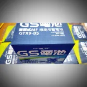 峰田職人 全新 湯淺 GS 統力 電池9號 10號   GTX9-BS YTX9 TTZ10S（附發票）公司貨