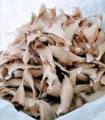 中勾翅 魚翅 水鯊勾 車輪牌鮑魚 日本干貝 花膠 海參 禮盒
