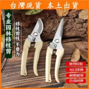 【台灣現貨 隔日達】園藝修枝剪 不鏽鋼園藝剪刀 修枝剪 樹枝剪 採果剪 檳榔剪刀 採果剪刀 農用剪刀 摘果剪 果樹剪