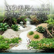 🔸水族底砂系列🔸500g/1kg💎石購意 黃金球砂 珊瑚砂 白細砂 火山石 生態缸 微景觀 水族園藝造景 多用途底砂