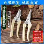 【台灣現貨 隔日達】園藝剪刀 花藝剪刀 粗枝剪刀 修枝剪刀 樹枝剪 採果剪 檳榔剪刀 採果剪刀 農用剪刀 摘果剪