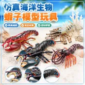 🌈仿真動物模型 海洋生物蝦兒童認知波士頓龍蝦海蝦海底裝飾 公仔 迷你 手辦 玩具