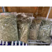 熊董兔BAR-Pegase 牧草（P家牧草） 梗多/梗葉各半/葉多/果園 1公斤裝