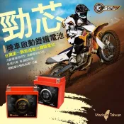 勁芯公司貨，免運 勁芯鋰鐵電池 LF-5L LF-6V(DRG FNX Xmax R3 小阿魯)   5號 6號 小橘