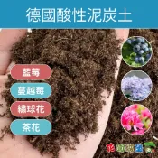 【泥炭】德國酸性泥炭土Natural 10公升 喜酸植物 藍莓 茶花梔子花杜鵑繡球花蔓越莓 酸性白泥炭土【花園城堡】