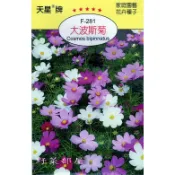 【野菜部屋~】Y21 大波斯菊Cosmos bipinnatus~穗耕種苗~天星牌種子~波斯菊種子~