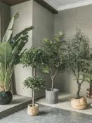 協貿國際日用品生活7館 仿真植物琴葉榕假樹大型北歐球形盆栽尤加利樹客廳落地旅人蕉綠植