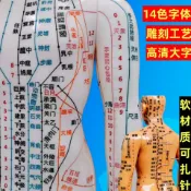 【便宜有好貨】十二經絡小銅人全身男女經絡穴位模型中醫針灸人體模型扎針小皮人